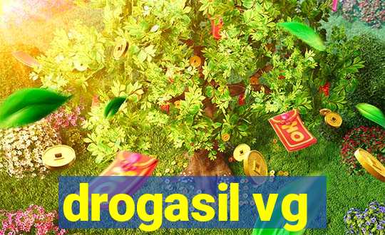 drogasil vg